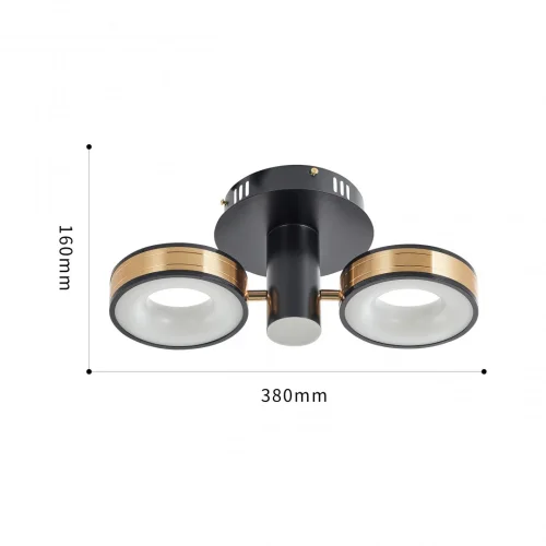 Люстра потолочная LED Ferrara-71040 271040/2R BK/GD Arte Milano белая на 1 лампу, основание чёрное в стиле современный хай-тек фото 13