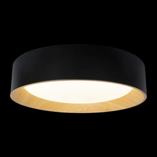 Светильник потолочный LED Coin 10202 Black LOFT IT коричневый чёрный белый 1 лампа, основание коричневое чёрное в стиле современный  фото 2