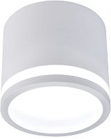 Светильник накладной Festum 4213-1C Favourite белый 1 лампа, основание белое в стиле модерн хай-тек 