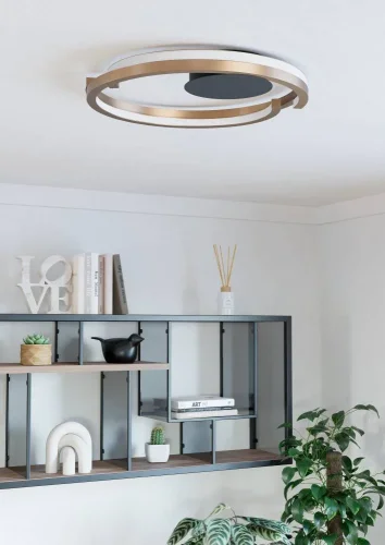 Светильник потолочный LED Mezzomonte 901825 Eglo бронзовый на 1 лампу, основание чёрное в стиле современный хай-тек фото 3 Светильник потолочный LED Mezzomonte 901825 Eglo бронзовый на 1 лампу, основание чёрное в стиле современный хай-тек фото 3