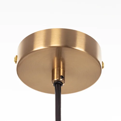 Светильник подвесной Ronin CL326011 Citilux прозрачный на 1 лампу, основание бронзовое в стиле классический современный фото 2