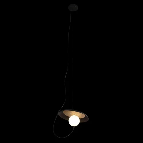 Светильник подвесной Wonders 10237P Black LOFT IT белый 1 лампа, основание чёрное в стиле современный шар фото 2