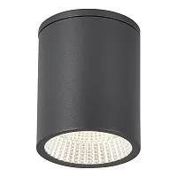 Накладной светильник LED уличный Tubo SL9514.712.01 ST-Luce уличный IP65 серый на 1 лампу, плафон серый в стиле хай-тек современный LED