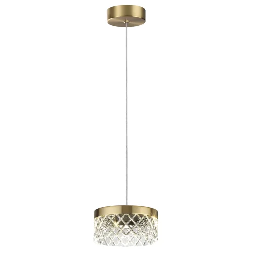 Светильник подвесной LED Fivre 5032/6L Odeon Light прозрачный 1 лампа, основание античное бронза в стиле современный встраиваемый фото 5