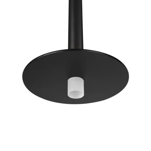 Светильник подвесной LED Reed 10358/830 Disk LOFT IT чёрный на 1 лампу, основание чёрное в стиле современный минимализм трубочки фото 4