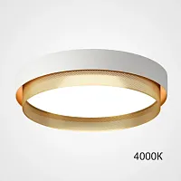 Светильник потолочный MALIA D55 White Brass 4000К 223851-23 ImperiumLoft белый на 1 лампу, основание белое в стиле скандинавский минимализм современный 