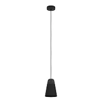 Светильник подвесной Canterras 99544 Eglo чёрный 1 лампа, основание чёрное в стиле современный 