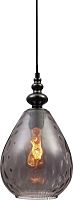 Светильник подвесной лофт Adela TL1171H-01SM Toplight купить в интернет магазине уютный-свет.рф