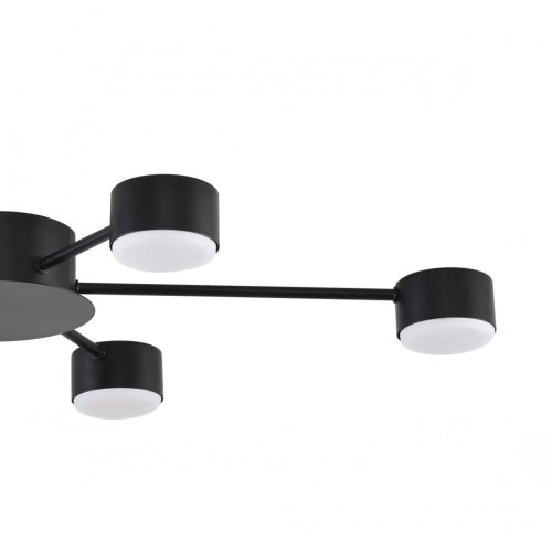 Светильник потолочный Torina 8344/6C Lumion чёрный на 6 ламп, основание чёрное в стиле минимализм фото 5