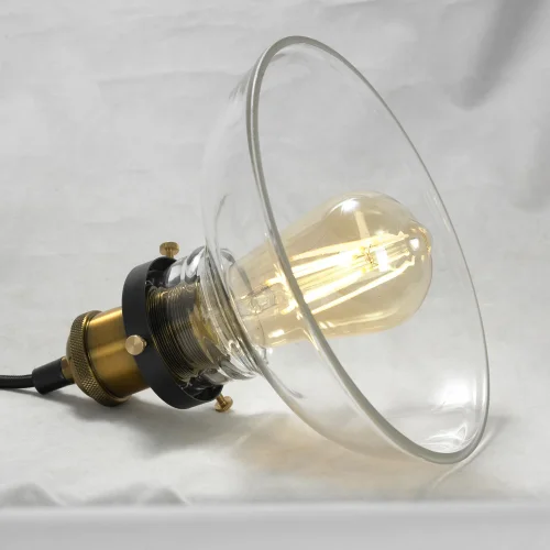 Светильник подвесной лофт Glen Cove GRLSP-9606 Lussole прозрачный 1 лампа, основание чёрное в стиле лофт  фото 7