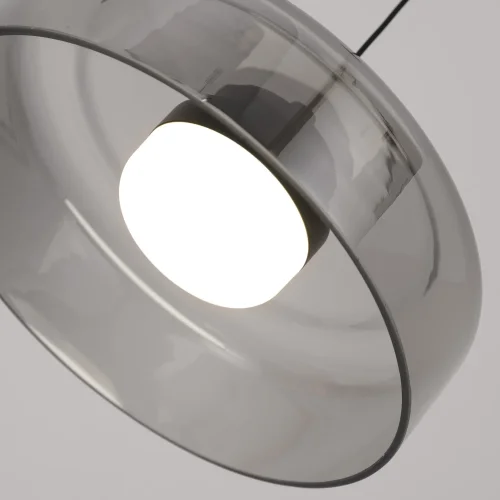 Светильник подвесной LED Platta 4490-1P Favourite прозрачный на 1 лампу, основание чёрное в стиле современный фото 3