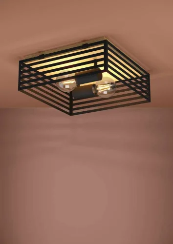 Светильник потолочный Cidraz 390163 Eglo чёрный 2 лампы, основание коричневое чёрное в стиле современный лофт  фото 2
