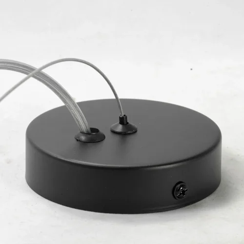 Светильник подвесной лофт LSP-9931 Lussole чёрный 1 лампа, основание чёрное в стиле лофт шляпа фото 4