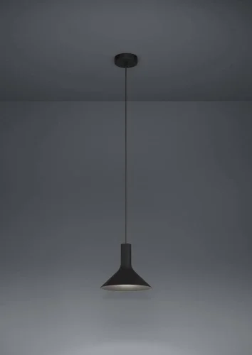 Светильник подвесной Morescana 390218 Eglo чёрный на 1 лампу, основание чёрное в стиле лофт современный фото 2 Светильник подвесной Morescana 390218 Eglo чёрный на 1 лампу, основание чёрное в стиле лофт современный фото 2