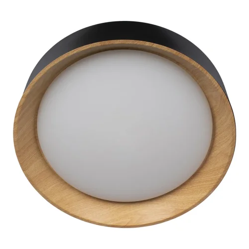 Светильник потолочный LED Coin 10202 Black LOFT IT коричневый чёрный белый 1 лампа, основание коричневое чёрное в стиле современный  фото 3