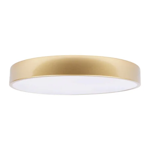 Светильник потолочный LED Flims 10228/A LOFT IT белый 1 лампа, основание золотое в стиле современный  фото 3