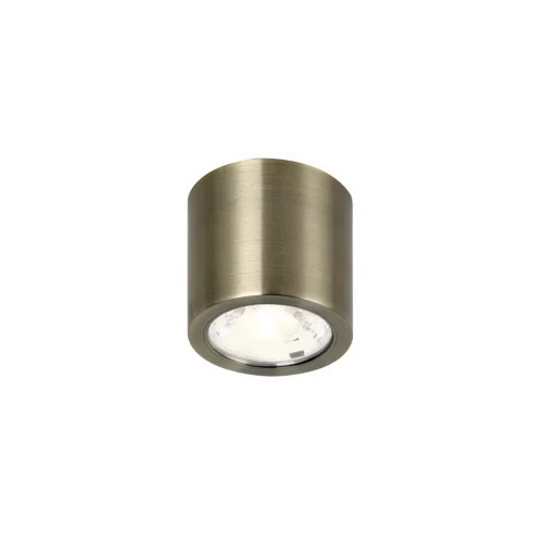Светильник накладной LED Deorsum 2806-1C Favourite латунь 1 лампа, основание латунь в стиле хай-тек современный круглый
