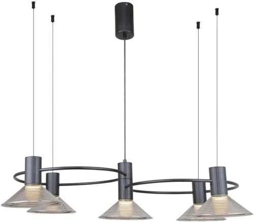 Люстра подвесная LED Feris 4622-5P F-promo прозрачная на 5 ламп, основание чёрное в стиле лофт 