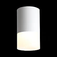 Светильник накладной LED ST100.502.05 ST-Luce белый на 1 лампу, основание белое в стиле хай-тек круглый