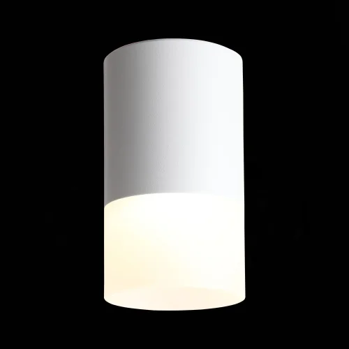 Светильник накладной LED ST100.502.05 ST-Luce белый на 1 лампу, основание белое в стиле хай-тек круглый