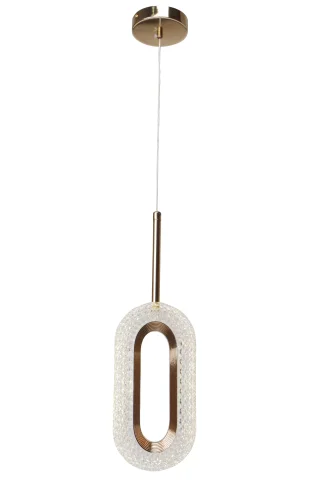 Светильник подвесной LED Ovale A2489SP-1GO Arte Lamp прозрачный 1 лампа, основание золотое в стиле хай-тек современный 