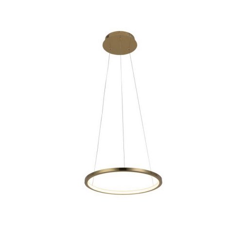 Светильник подвесной LED Ring 10014S LOFT IT золотой 1 лампа, основание золотое в стиле хай-тек кольца