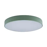 Светильник потолочный LED Axel 10002/24 Green LOFT IT белый 1 лампа, основание зелёное в стиле современный тарелка