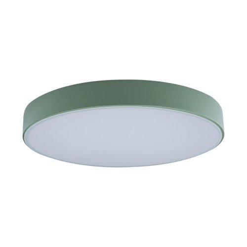 Светильник потолочный LED Axel 10002/24 Green LOFT IT белый 1 лампа, основание зелёное в стиле модерн 