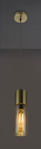 Светильник подвесной Annika 21000HM Globo янтарный прозрачный 1 лампа, основание матовое золото в стиле современный трубочки фото 2