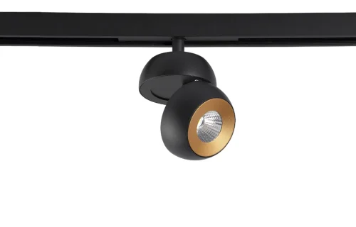 Рефлектор светильника CLT 0.33 011 Reflector GOLD Crystal Lux на 1 , основание золотое в стиле современный фото 3