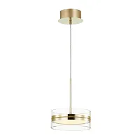 Светильник подвесной LED Akela 4729/14L Odeon Light прозрачный 1 лампа, основание золотое в стиле современный хай-тек 