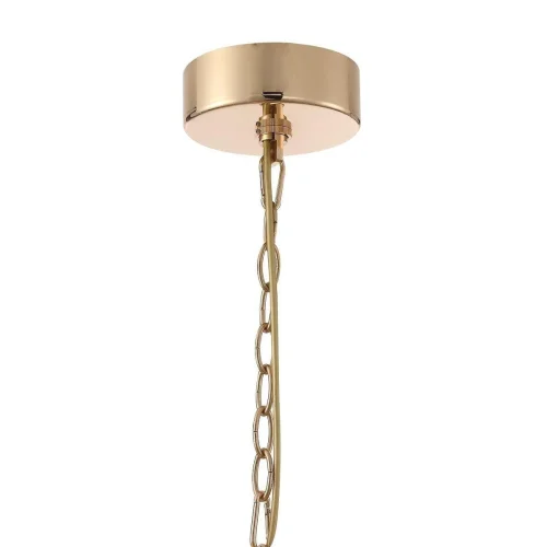 Люстра подвесная Ignis 2882-19P Favourite золотая прозрачная на 19 ламп, основание золотое в стиле классический  фото 2