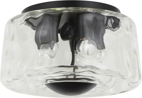 Светильник потолочный Perfecto Light 2193/02/05C Stilfort прозрачный на 5 ламп, основание чёрное в стиле современный 