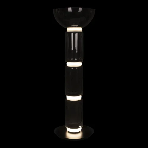 Торшер LED Noctambule 10192F/M LOFT IT  прозрачный 1 лампа, основание чёрное в стиле современный
 фото 4