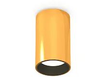 Светильник накладной Techno spot XS6327003 Ambrella light золотой жёлтый 1 лампа, основание золотое жёлтое в стиле современный круглый