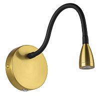 Бра с выключателем LED Muro 808631 Lightstar латунь на 1 лампу, основание латунь в стиле современный хай-тек минимализм гибкая ножка для чтения