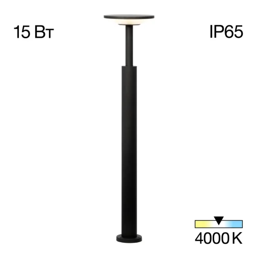 Парковый светильник LED Dorn CLU05B Citilux уличный IP65 графит 1 лампа, плафон графит в стиле современный LED