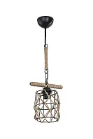 Светильник подвесной Карил (Caryl) TL1647H-01GK Toplight чёрный на 1 лампу, основание чёрное в стиле кантри лофт 