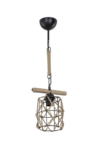 Светильник подвесной Карил (Caryl) TL1647H-01GK Toplight чёрный на 1 лампу, основание чёрное в стиле кантри лофт 