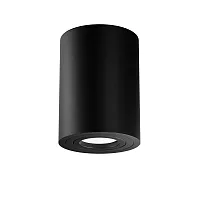 Светильник накладной Alfa C016CL-01B Maytoni чёрный 1 лампа, основание чёрное в стиле модерн круглый