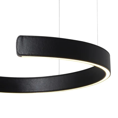 Светильник подвесной LED Ring 10025/400 Black LOFT IT чёрный 1 лампа, основание золотое в стиле хай-тек современный кольца фото 3