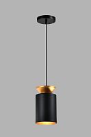 Светильник подвесной Latina V10452-1P Moderli чёрный 1 лампа, основание чёрное в стиле лофт современный 