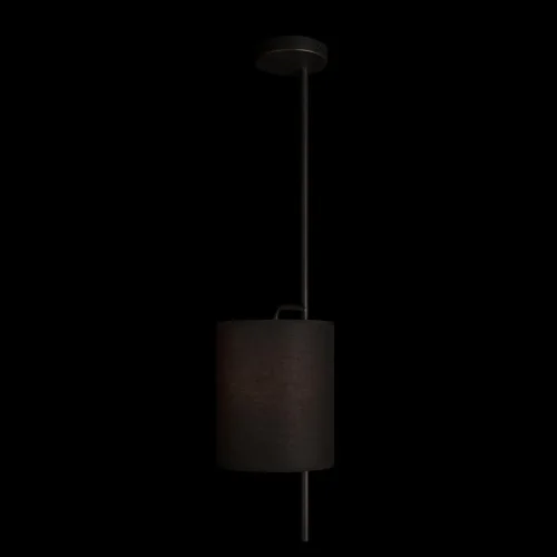 Светильник подвесной Ritz 10253P Black LOFT IT чёрный 1 лампа, основание чёрное в стиле современный  фото 2
