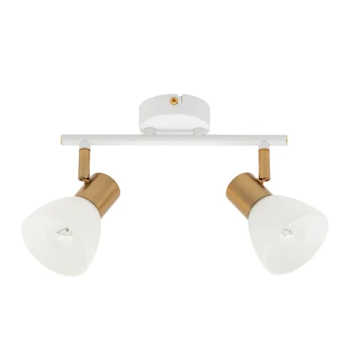 Спот с 2 лампами Falena A3117PL-2WH Arte Lamp белый E14 в стиле современный 