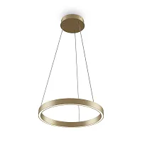 Светильник подвесной LED Rim MOD058PL-L22BSK Maytoni латунь 1 лампа, основание латунь в стиле модерн хай-тек минимализм кольца