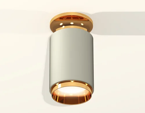 Светильник накладной Techno spot XS6314121 Ambrella light серый 1 лампа, основание золотое в стиле современный круглый фото 3
