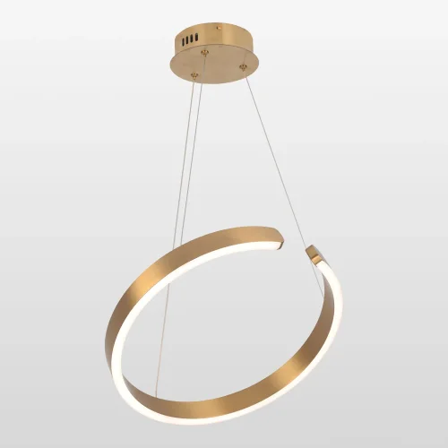 Светильник подвесной LED LSP-7209 Lussole золотой 1 лампа, основание золотое в стиле хай-тек современный кольца фото 2