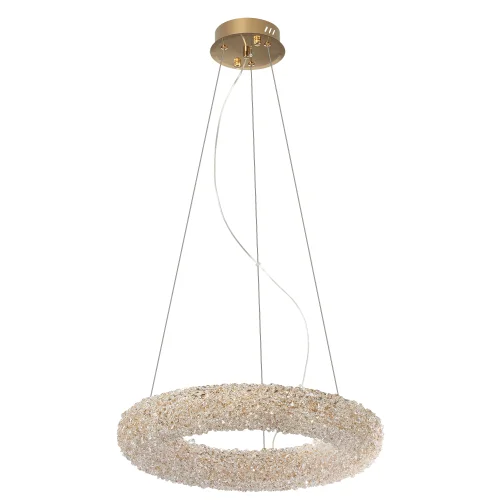 Люстра подвесная LED Cloudy CL323152 Citilux прозрачная на 1 лампу, основание золотое в стиле современный кольца фото 2