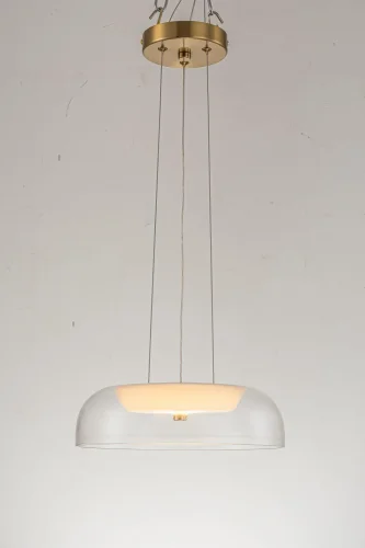 Светильник подвесной LED Narbolia L 1.P4 CL Arti Lampadari прозрачный 1 лампа, основание золотое в стиле хай-тек современный  фото 3