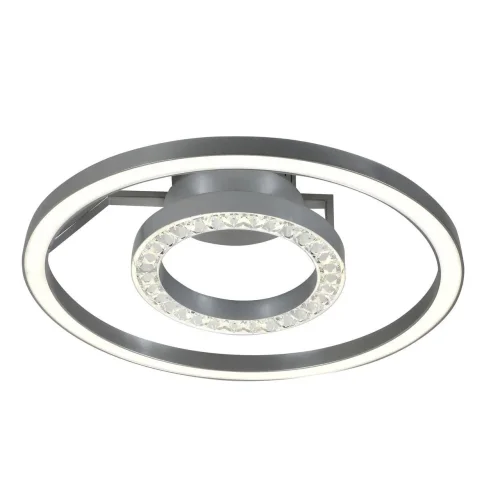 Люстра потолочная LED Sanori 2593-2U Favourite серебряная на 1 лампа, основание серебряное в стиле современный кольца фото 2
